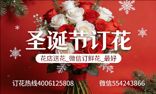 汕尾海丰县花店送花_微信订鲜花_圣诞节订花_最好? 汕尾海丰县花店
